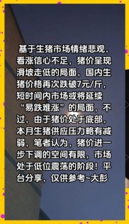 以往科技股泡沫的启示：热潮中的猪如何变成有毒资产