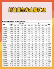 新能源汽车龙头基金排名揭晓，助力投资者精准选择