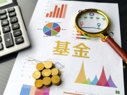 2025年公募基金排名战结果揭晓，主动与被动投资各有胜负