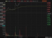 汇纳科技股价大涨前公众号先发，算力营收其实很小