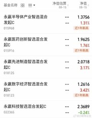 2025年权益基金净值增长显著，永赢科技智选成年度冠军