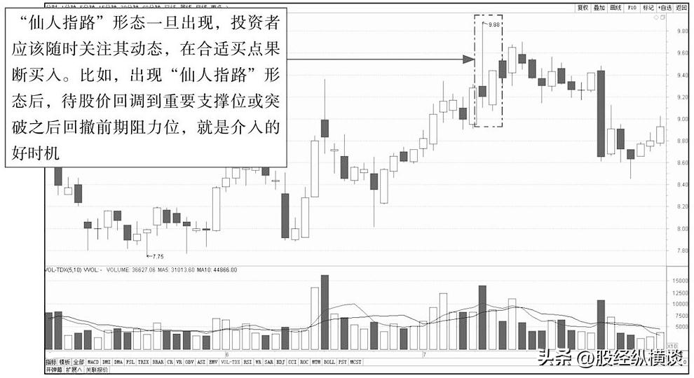 跟庄操作_股票，仙人指路_仙人指路试盘