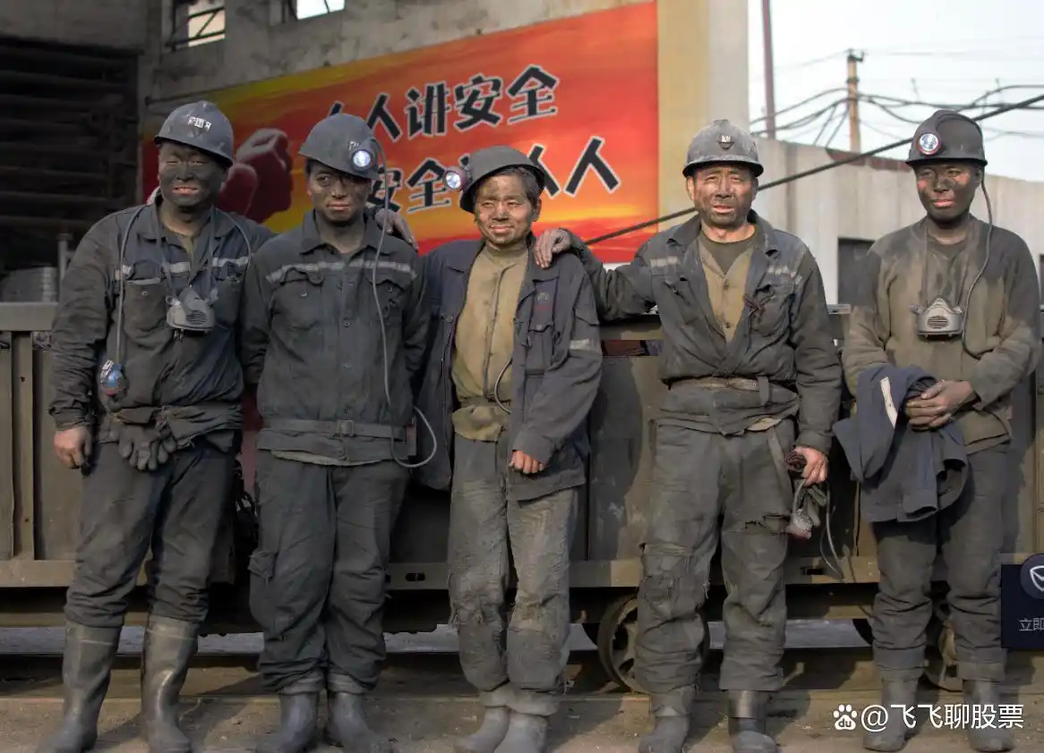 煤炭 股票_中国神华2024年一季度业绩分析_陕西煤业2024年一季度财务数据