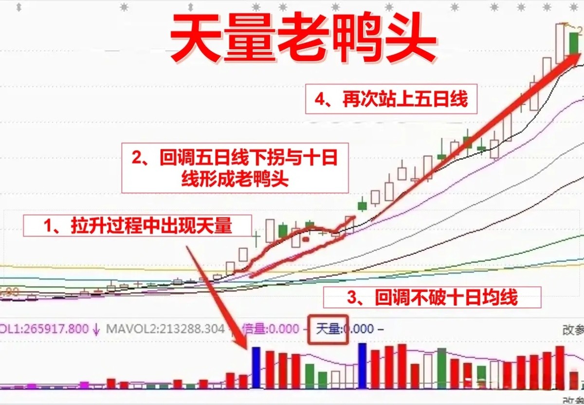 股票大v付费文章合集_全职交易者_持续稳定盈利