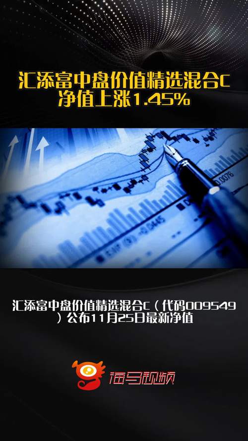 港股核心资产投资_汇添富沪港深大盘价值混合基金_大盘股票基金