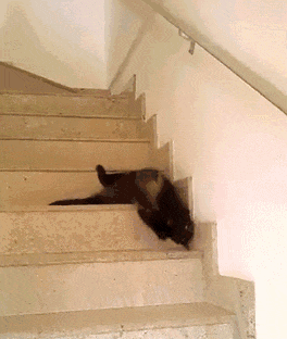 大宗商品基金_商品期货理财_黄金ETF投资